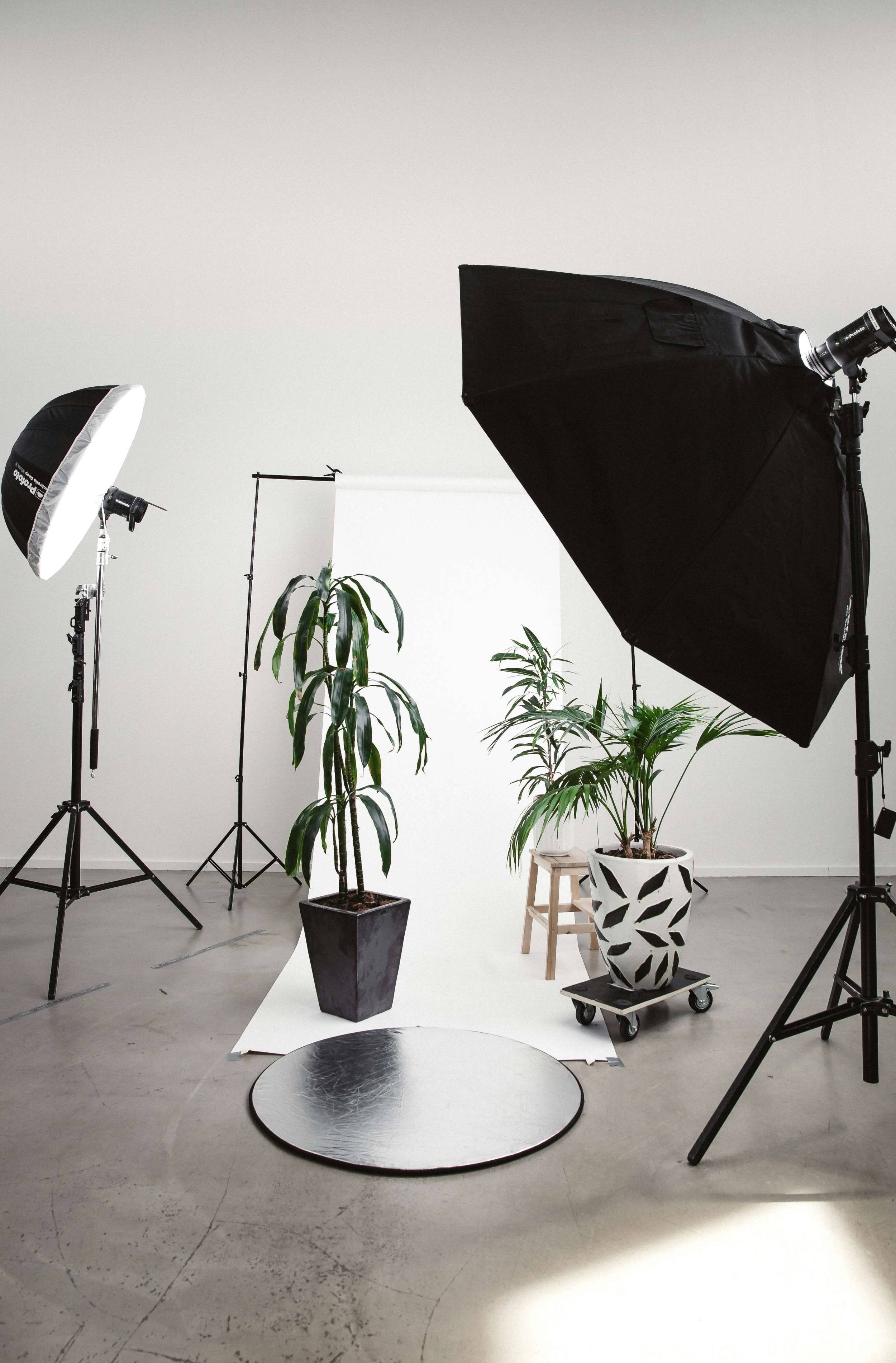 Exemple de Photographie 1